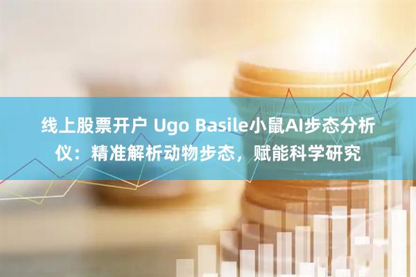 线上股票开户 Ugo Basile小鼠AI步态分析仪：精准解析动物步态，赋能科学研究